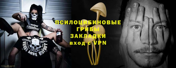 ГАЛЛЮЦИНОГЕННЫЕ ГРИБЫ Вязьма