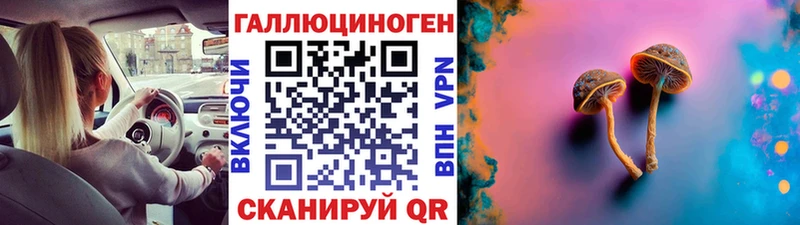 Купить закладки Курганинск Псилоцибиновые грибы MAGIC MUSHROOMS